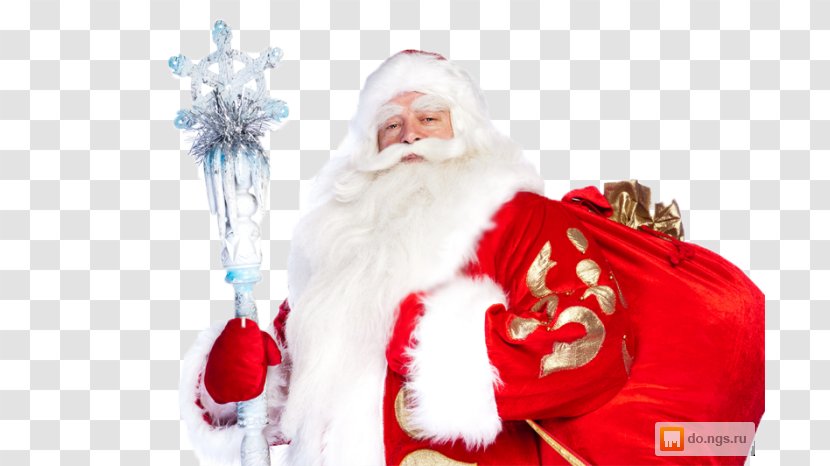 Ded Moroz Snegurochka Santa Claus Grandfather Ziuzia Transparent PNG