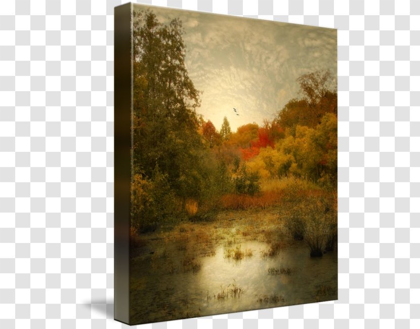 Painting Giclée Gallery Wrap Picture Frames Canvas - Landscape Transparent PNG