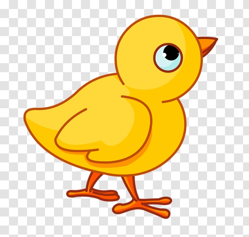 Chicken Infant Mother Clip Art - Duck - Yellow Chick Transparent PNG