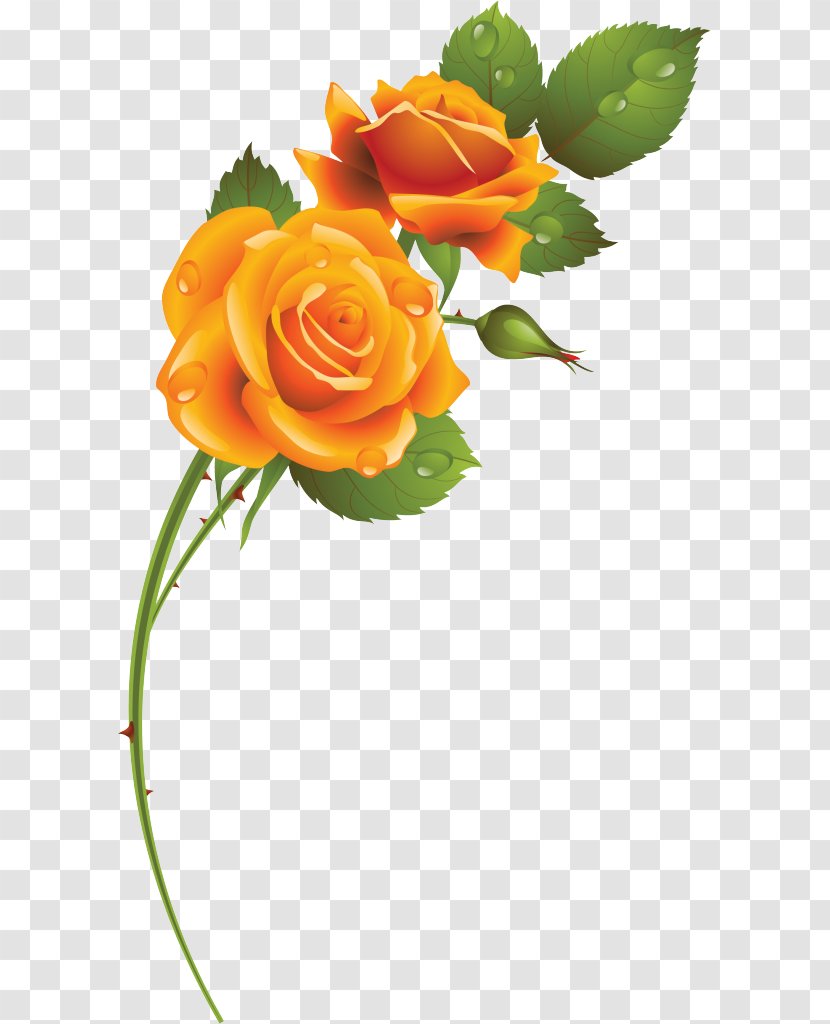 Garden Roses Floral Design Cut Flowers Blue Rose - Floristry - Flower Transparent PNG