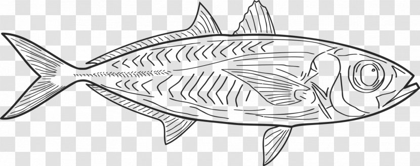 Clip Art Line Drawing Vector Graphics - Black And White Salmon Transparent PNG