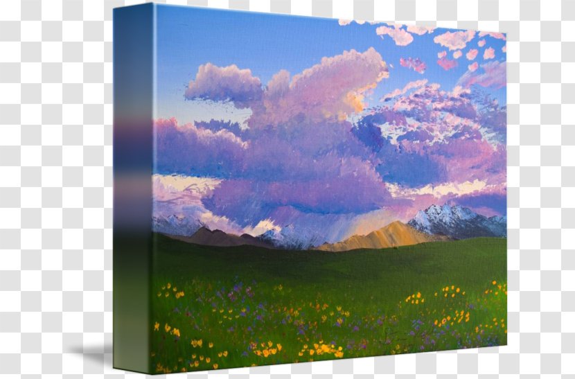 Painting Ecoregion Energy Picture Frames Wildflower - Desert Sunset Transparent PNG
