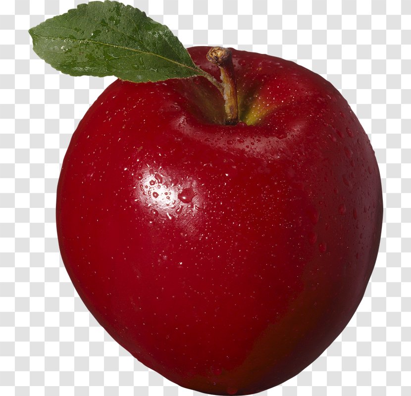 Apple Fruit Java Computer Program - Mcintosh Transparent PNG