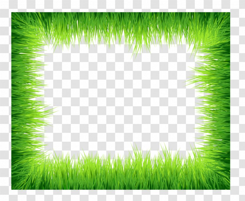 Download Clip Art - Meadow - Vector Grass Borders Transparent PNG