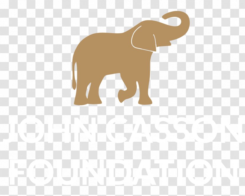 Indian Elephant African Elephantidae Philleigh Way Cookery School Animal - Golden Speakers Transparent PNG