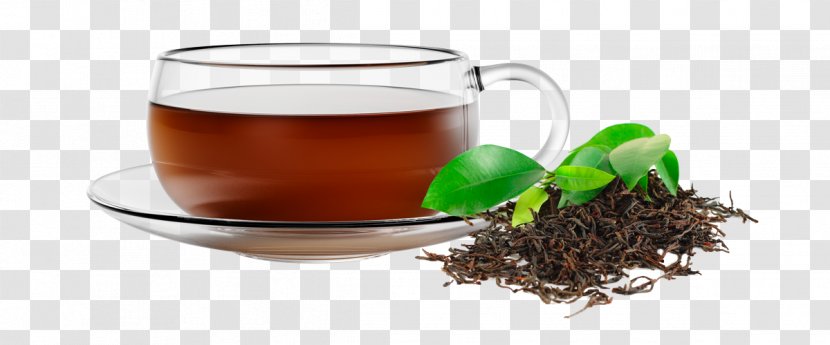 Assam Tea Mate Cocido Green Oolong - Earl Grey Transparent PNG