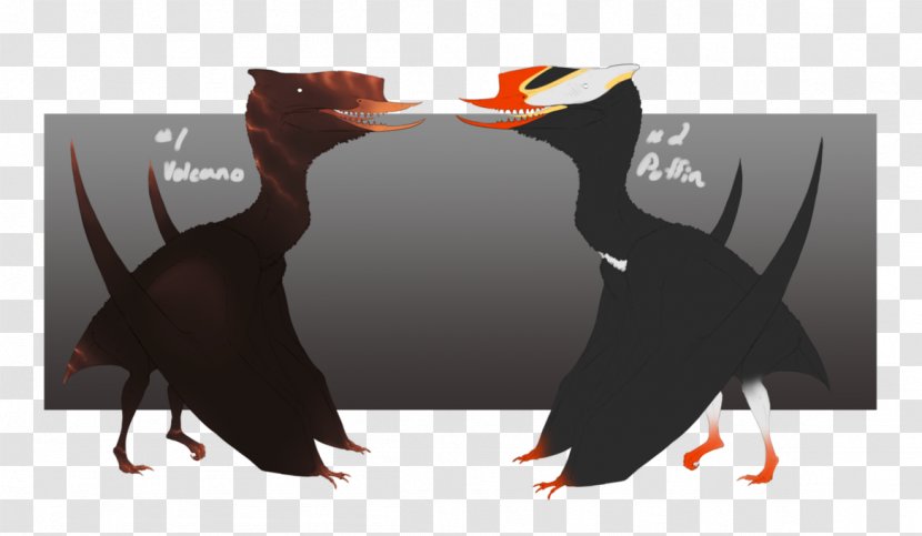 Beak - Water Bird - Design Transparent PNG