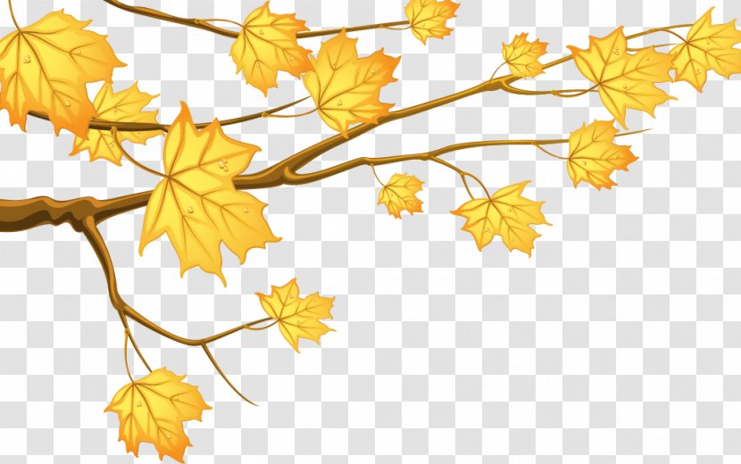Like The Flowing River Author Publishing DC Books - Literature - Cartoon Yellow Autumn Leaves Branch Transparent PNG