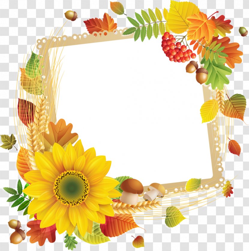Floral Design Picture Frames Flower Google Transparent PNG