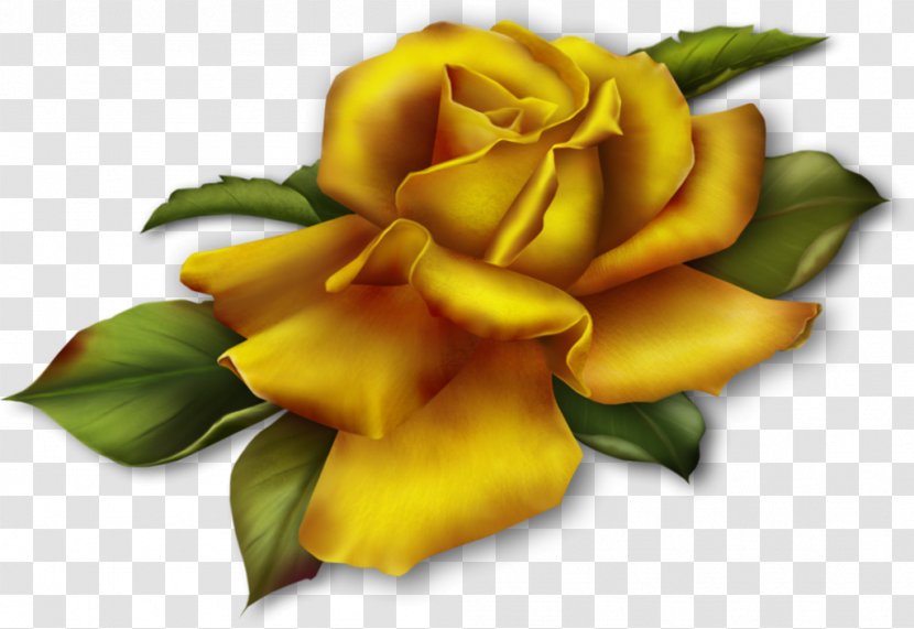 Garden Roses Clip Art - Golden Rose Transparent PNG