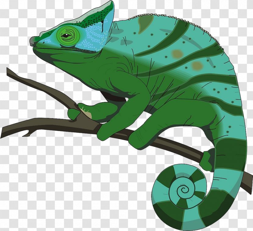 Chameleons Stock.xchng Clip Art - Fauna - Painted Green Chameleon Transparent PNG