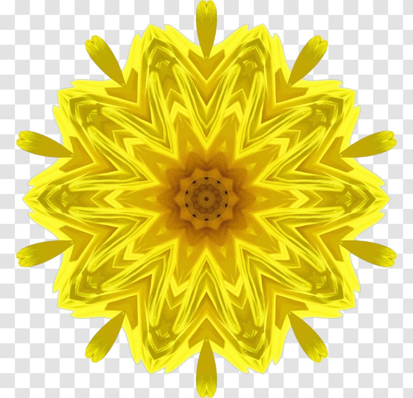 Common Sunflower Daisy Clip Art - Stock Photography - Flower Transparent PNG