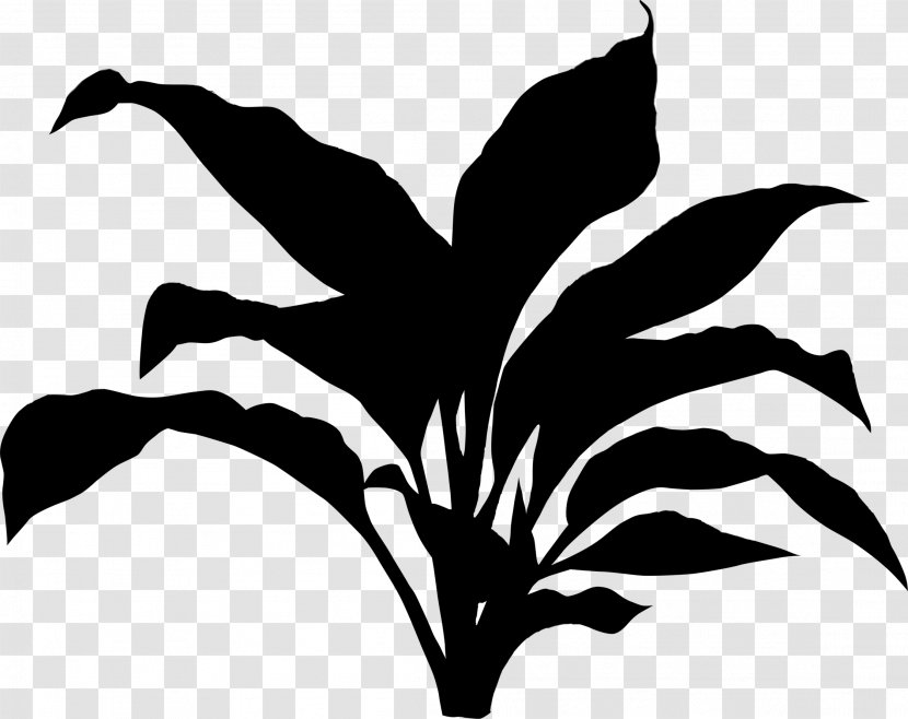 Flower Plant Stem Leaf Clip Art Silhouette - Herbaceous - Tree Transparent PNG