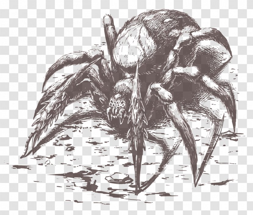 Pillars Of Eternity Spider Drawing YouTube Monochrome Transparent PNG