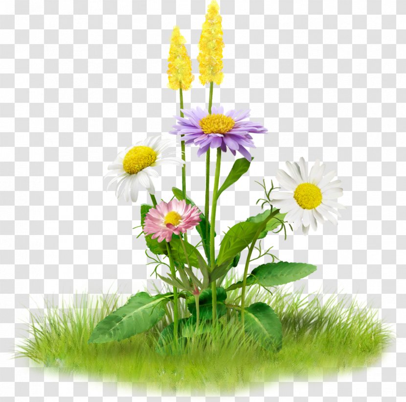 Image Clip Art Flower Stock.xchng - Large Spring Flowers Transparent PNG