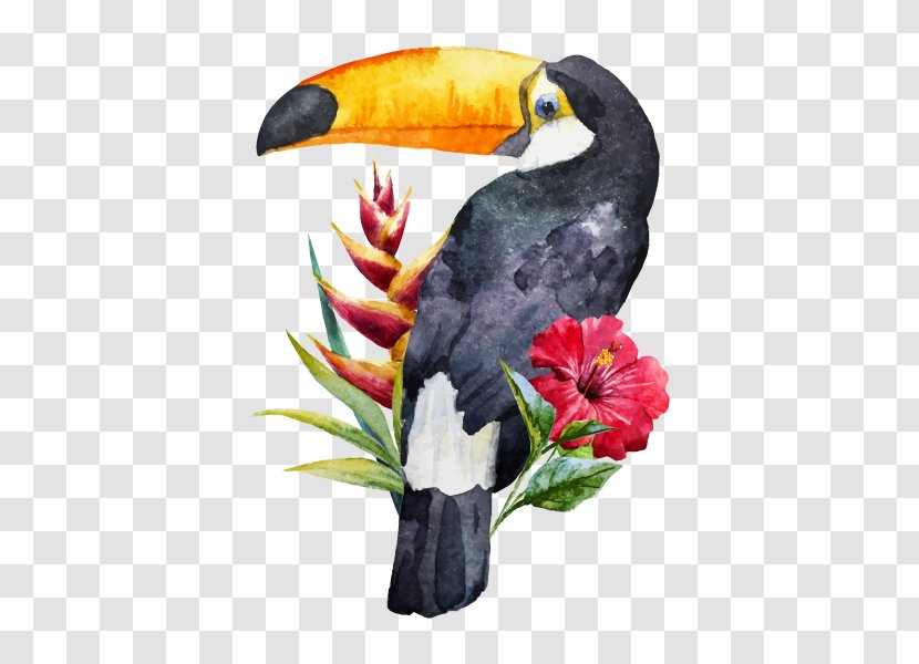 Bird Toucan Watercolor Painting Transparent PNG