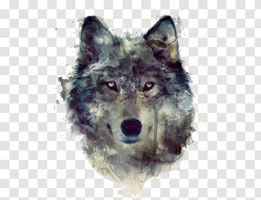 Gray Wolf Watercolor Painting Art Drawing - Concept Transparent PNG