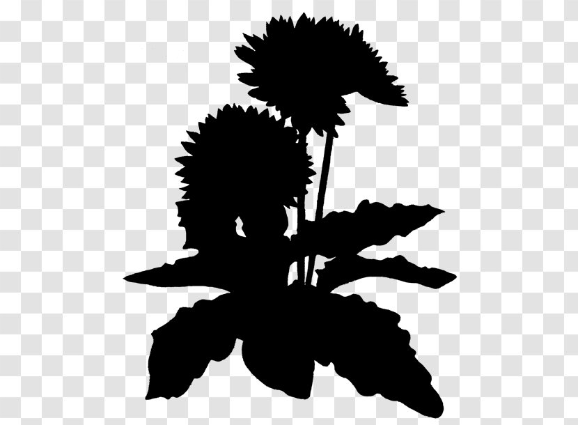 Flowering Plant Clip Art Character Silhouette - Blackandwhite - Black Transparent PNG