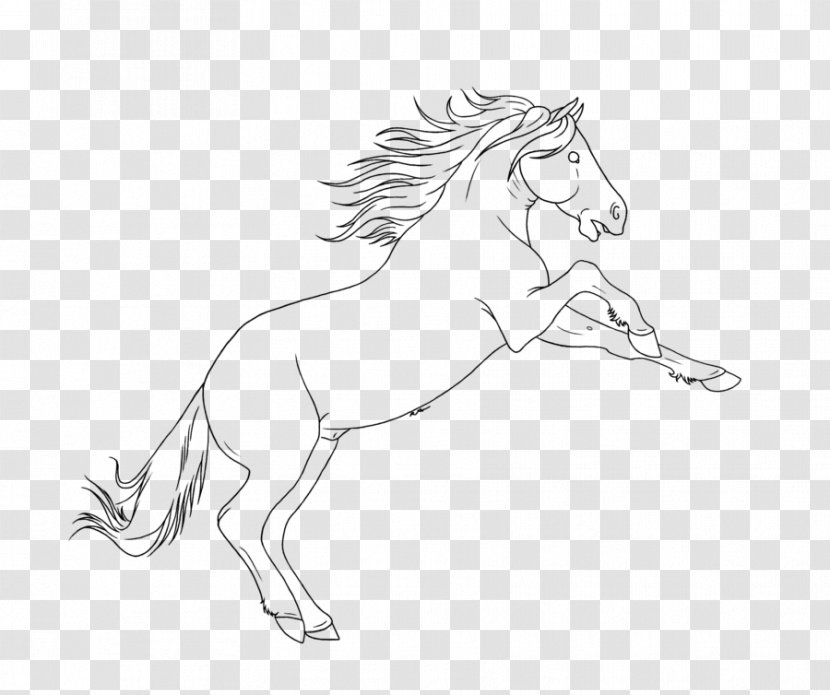 Mustang Brumby Pony Drawing Sketch - Line Art Transparent PNG