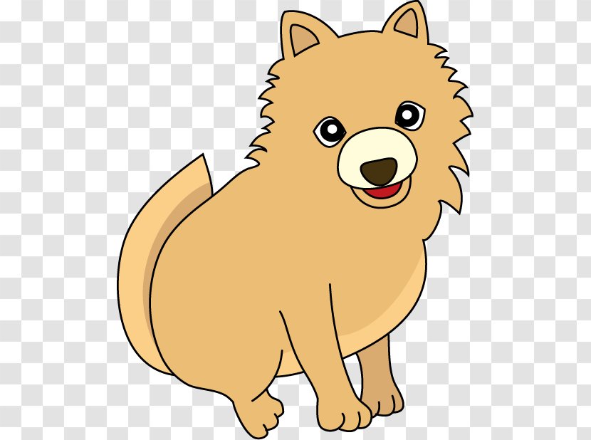 Pomeranian Finnish Spitz Puppy Dog Breed Whiskers Transparent PNG