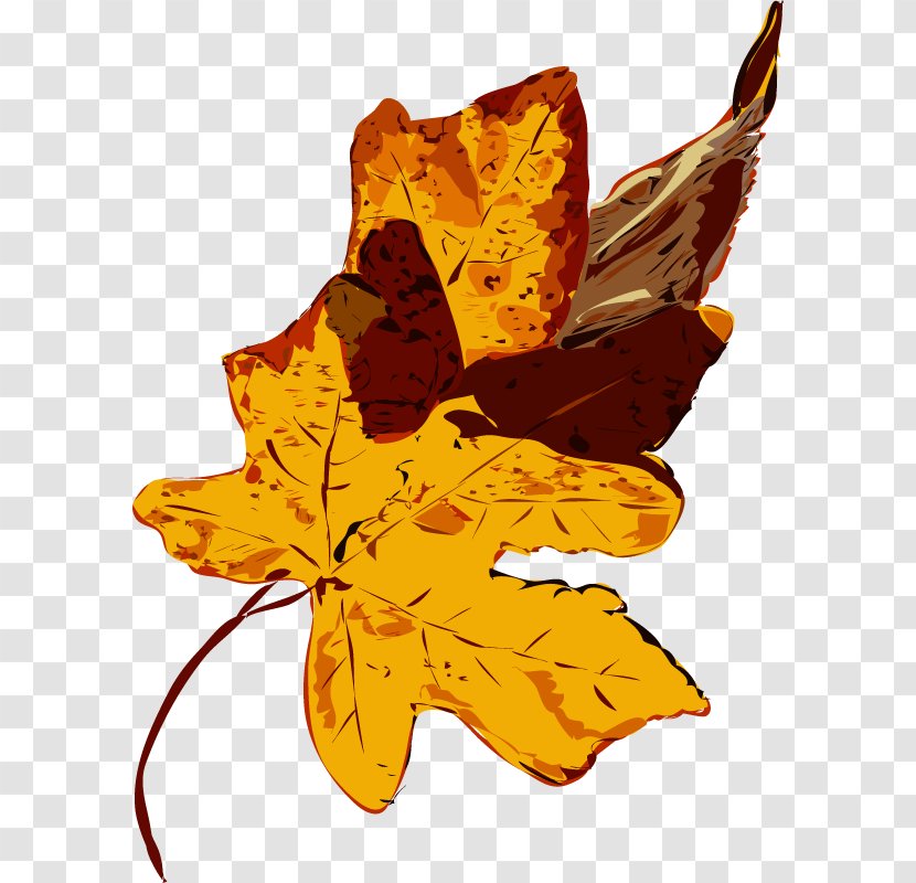 Maple Leaf - Flower - Herbstblatt Transparent PNG