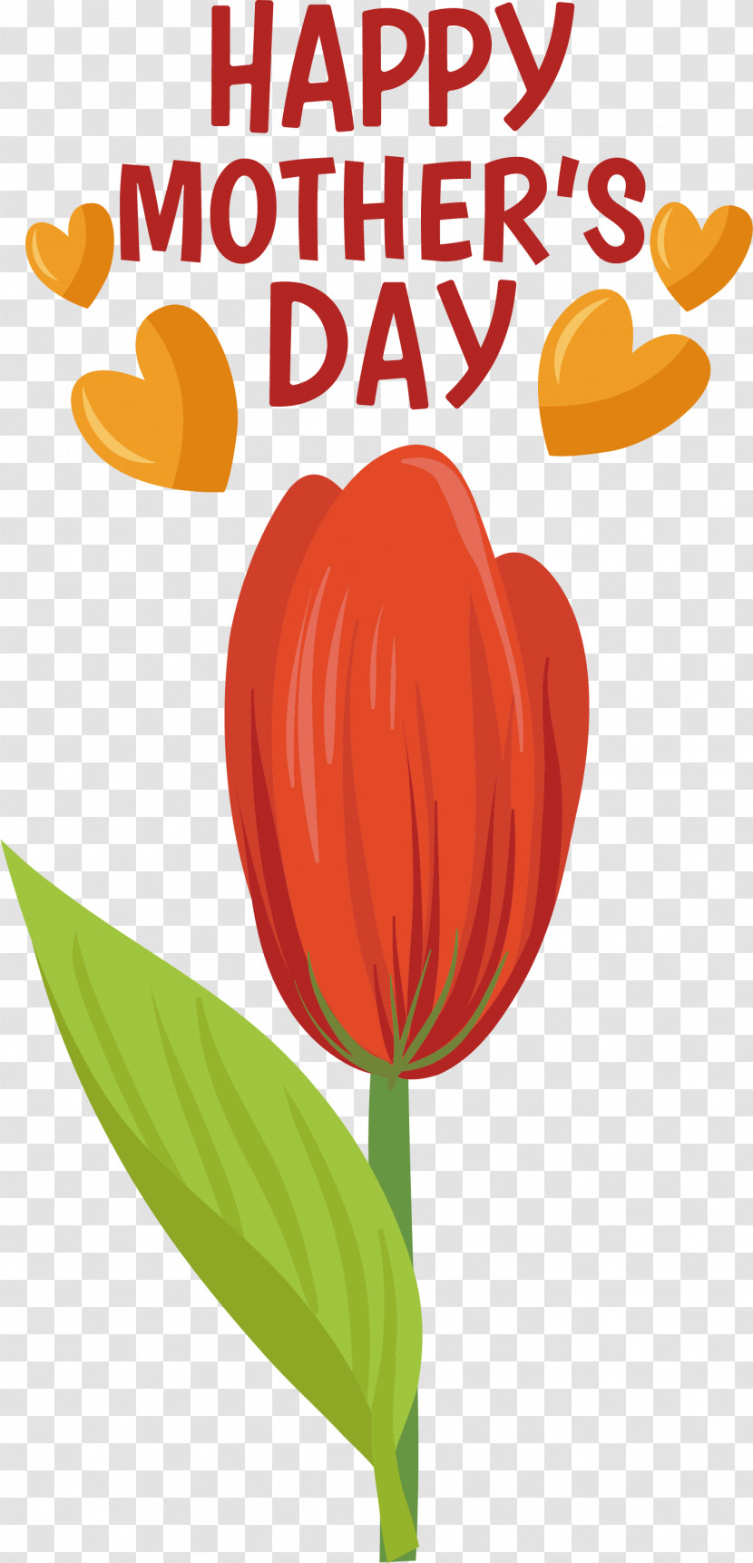 Plant Stem Cut Flowers M-095 Tulip Flower Transparent PNG