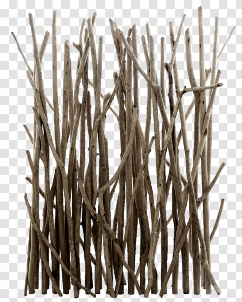 Driftwood Branch Folding Screen Tree - Twig - Twigs Fence Transparent PNG