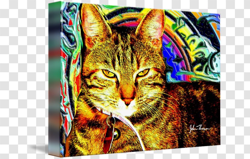 Tabby Cat Whiskers Gallery Wrap Modern Art - Carnivoran Transparent PNG