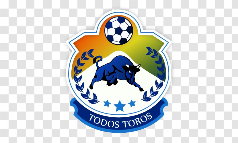 CD Provincial Osorno Football Trapo Deportes | Tienda De Hattrick Transparent PNG