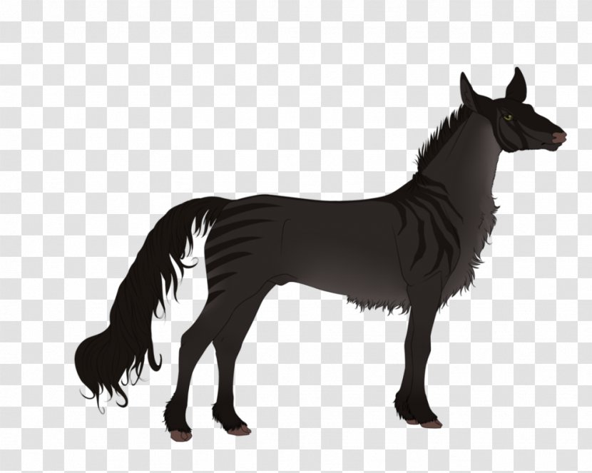Mustang Mare Stallion Donkey Dog - Mammal Transparent PNG