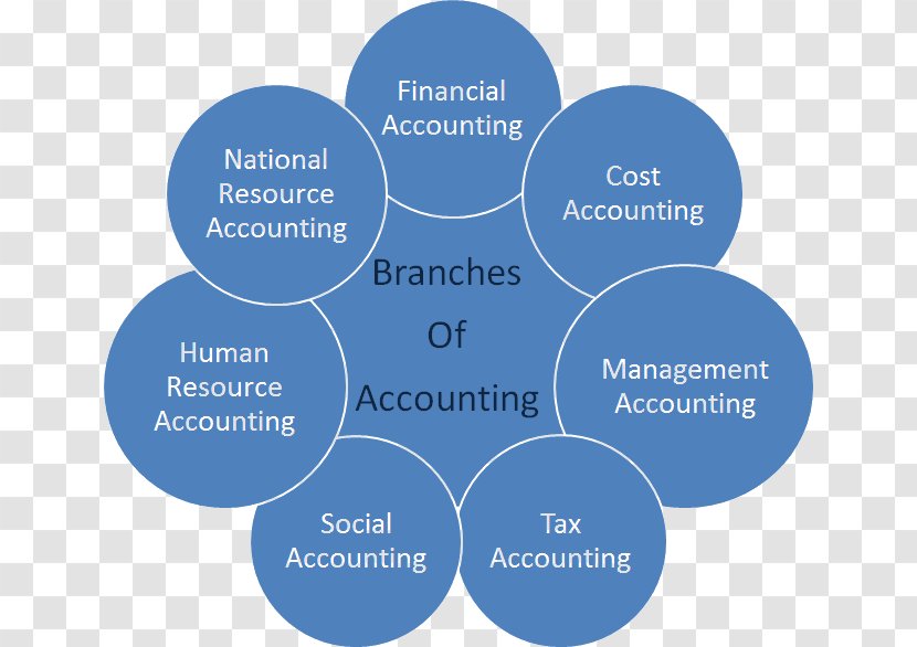 Managerial Cost Accounting Accountant Partnership - Information - Accountancy And Business Management Transparent PNG