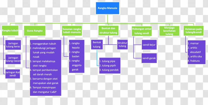 Human Skeleton Homo Sapiens Concept Map - Online Advertising Transparent PNG