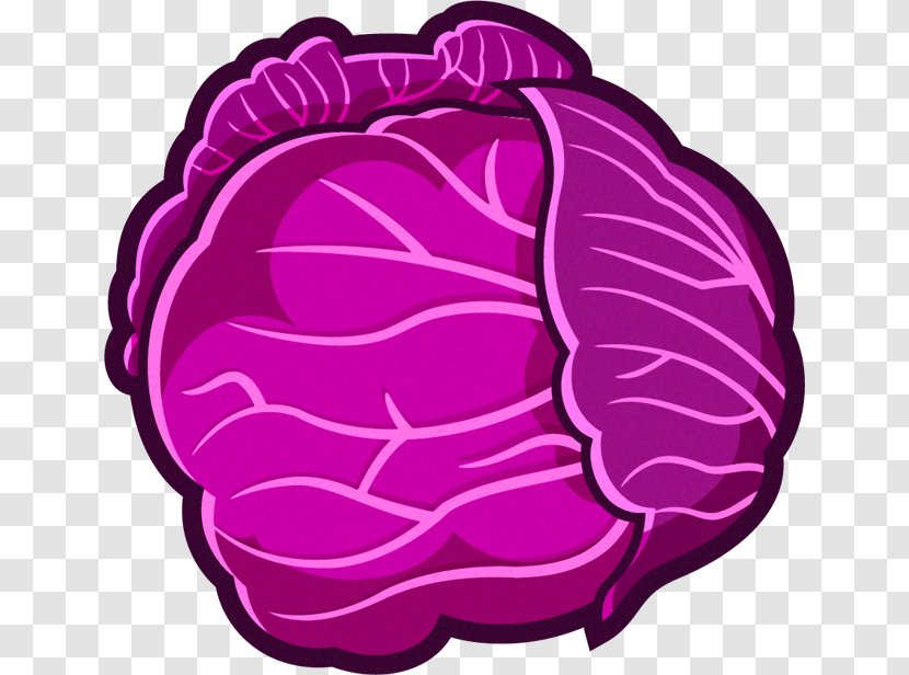 Vegetable Red Cabbage Anthocyanin Fruit - Cartoon Transparent PNG