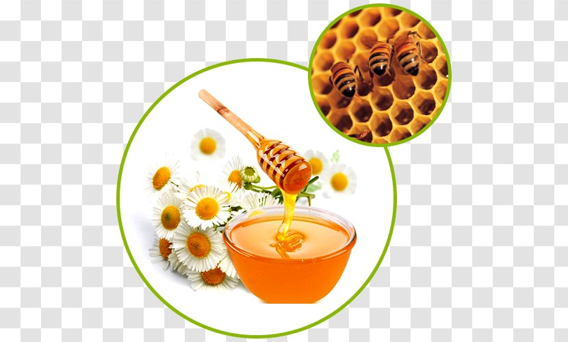 Honey Jar Food Product Beekeeping - Vegetarian - Ingredient Transparent PNG