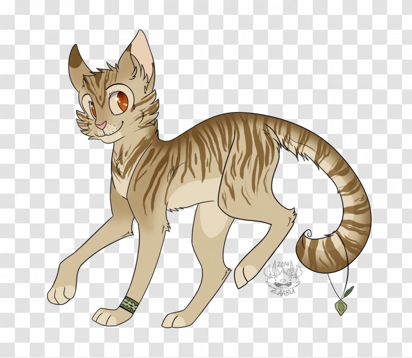 Wildcat Kitten Tabby Cat Whiskers - Wild - Milky Way Transparent PNG