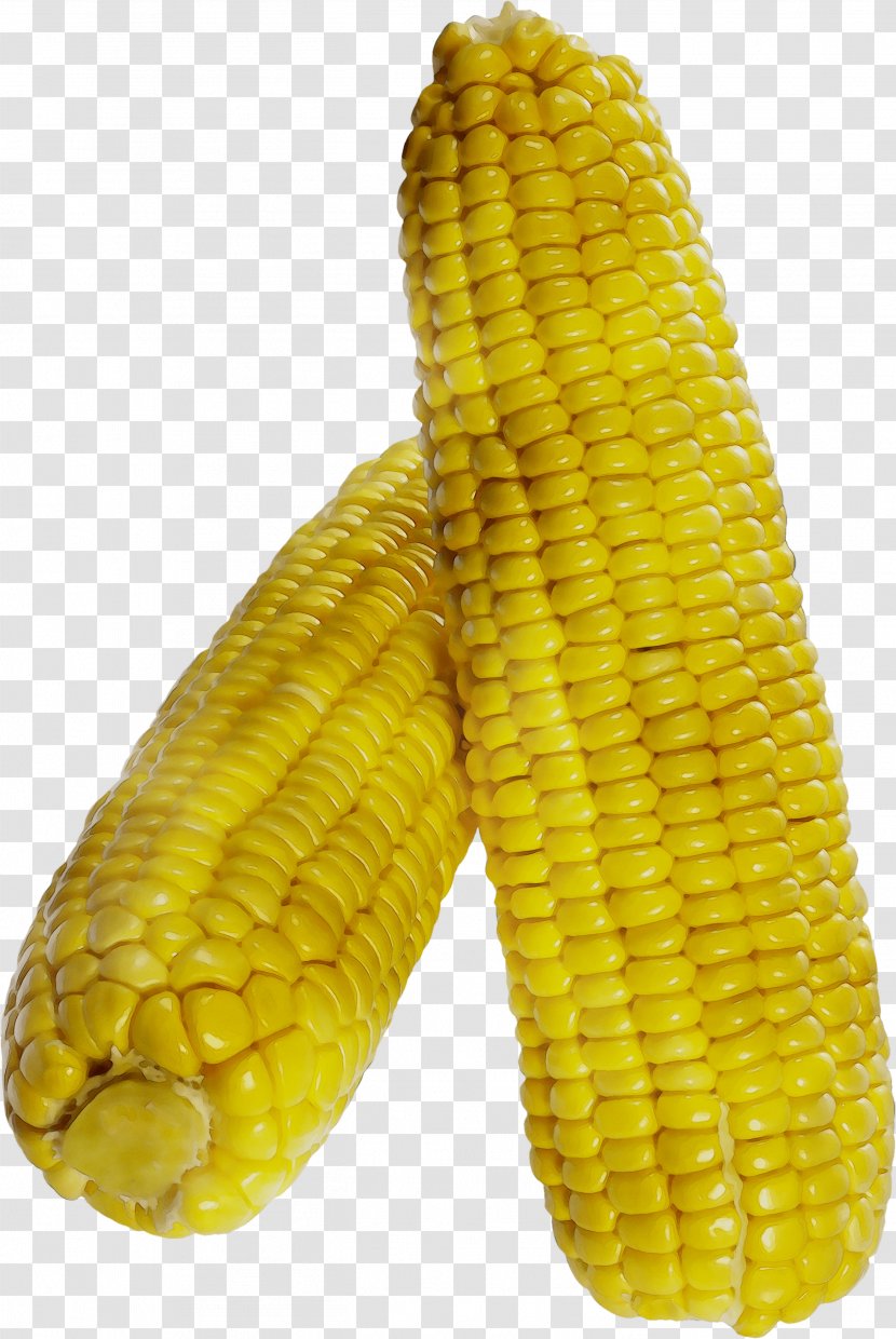 Corn On The Cob Sweet Kernel Fruit - Yellow - Cuisine Transparent PNG