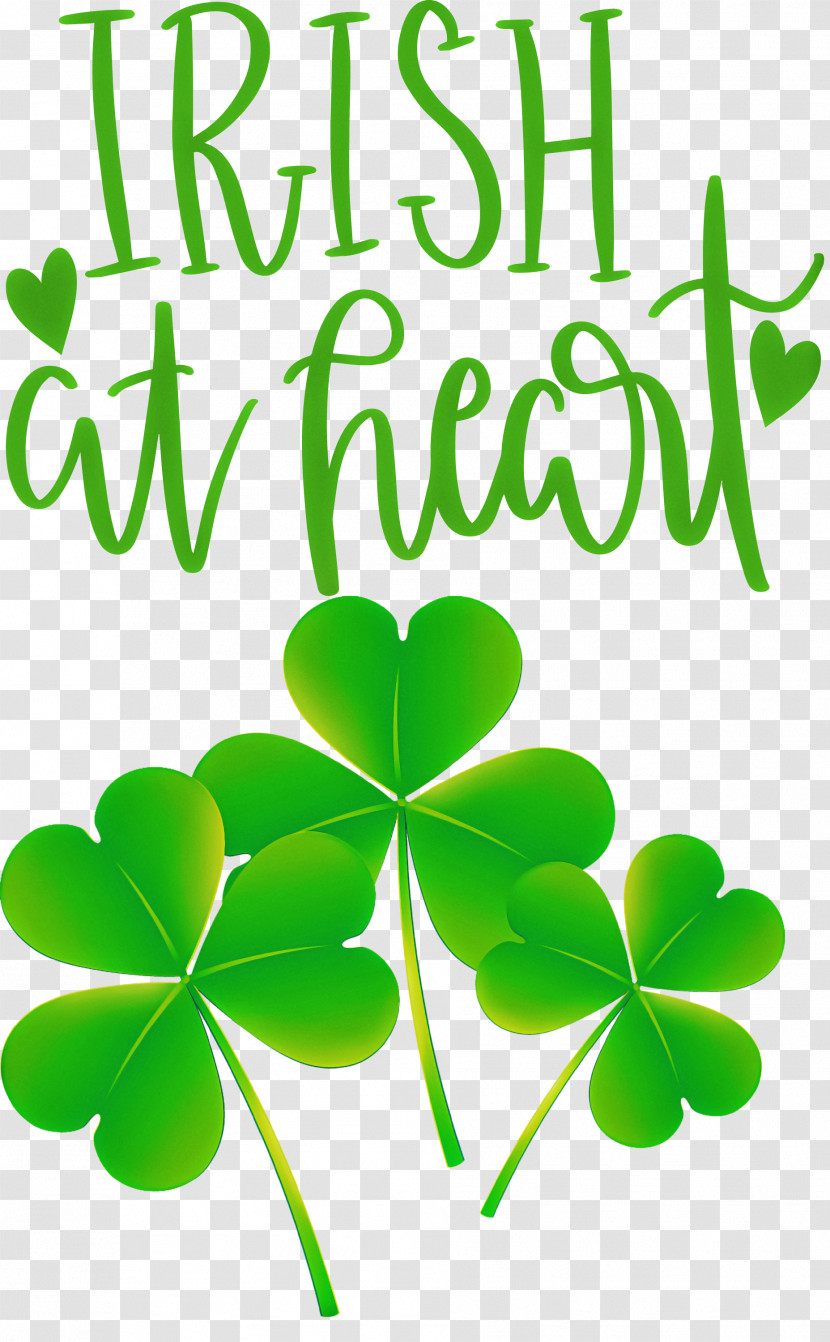 Shamrock Irish Saint Patrick Transparent PNG