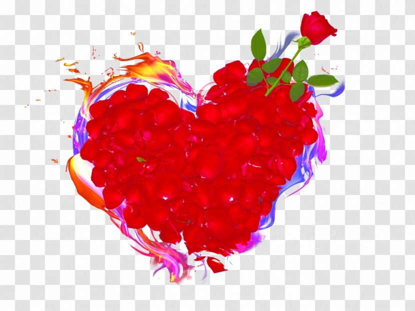 Beach Rose Petal Red Valentines Day - Cartoon - Petals Love Flame Border Transparent PNG