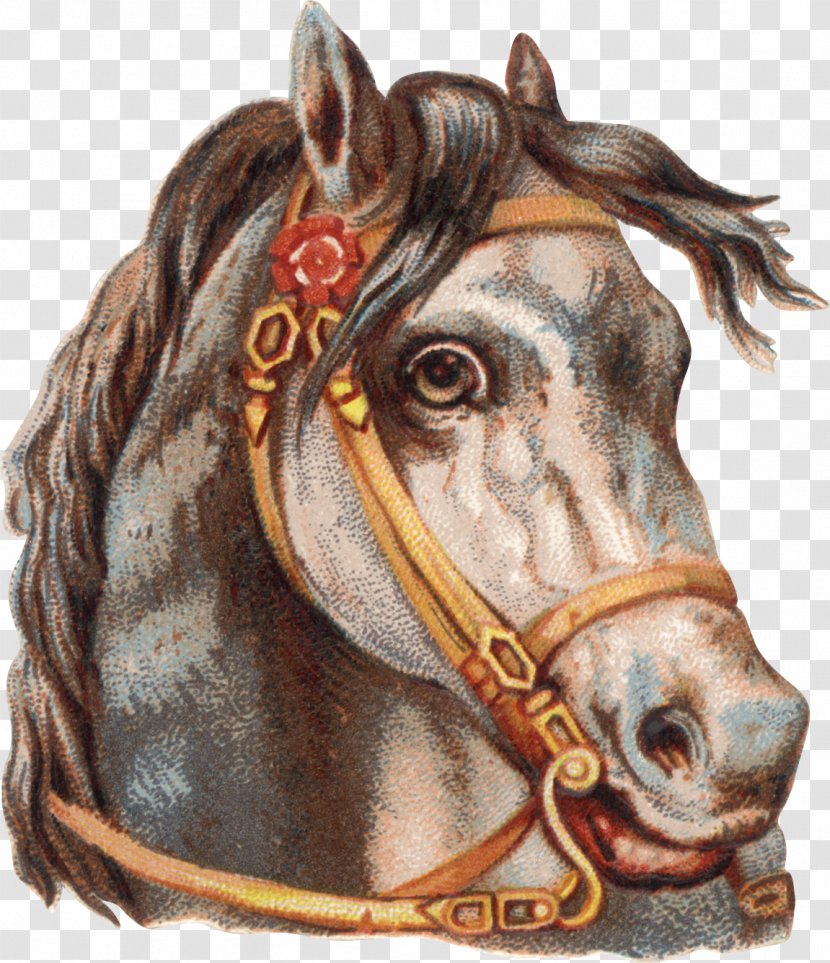 Horse Tack Harnesses Clip Art - Harness Transparent PNG