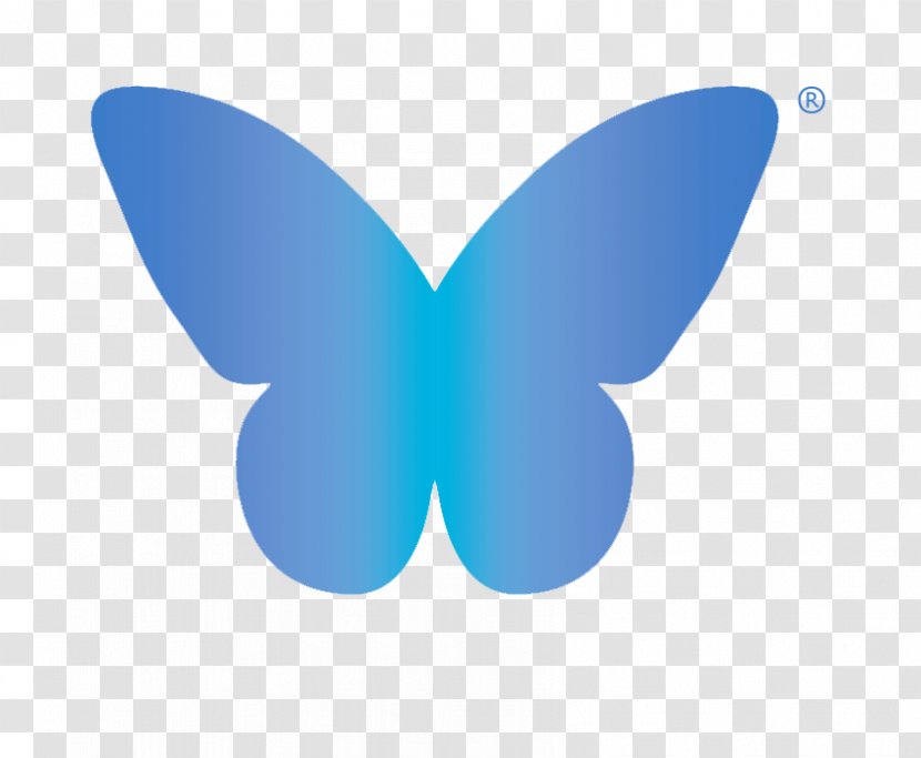 Babylon Butterfly Logo Font HolidayExtras.com Desktop Wallpaper - Holidayextrascom - Dream Transparent PNG