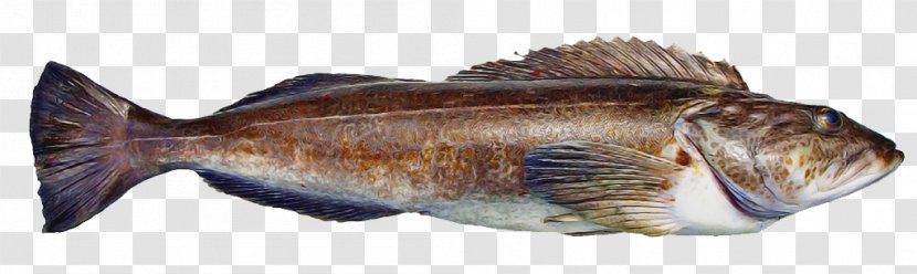 Fish Products Oily Seafood - Capelin Transparent PNG