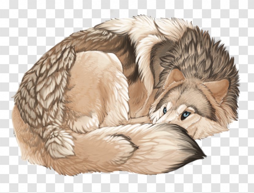 Whiskers Dog Cat Canidae Mammal - Fur - Angry Wolf Drawings Beginners Transparent PNG