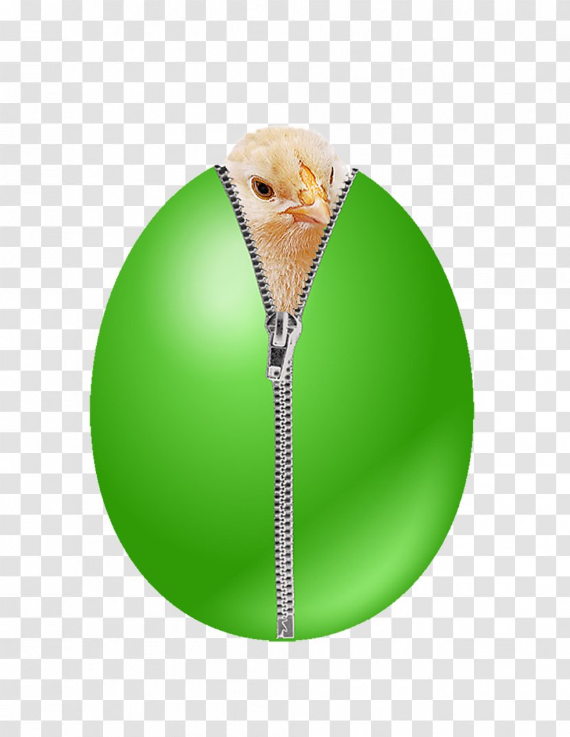 Chicken Or The Egg Eggshell Kifaranga - Easter Transparent PNG