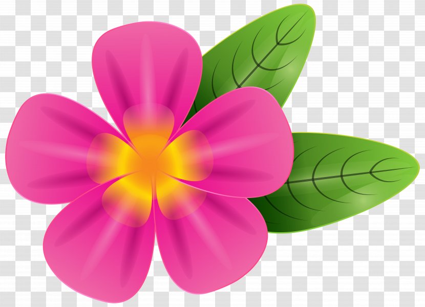 Frangipani Stock Photography Clip Art - Plant - Pink Tropic Flower Image Transparent PNG
