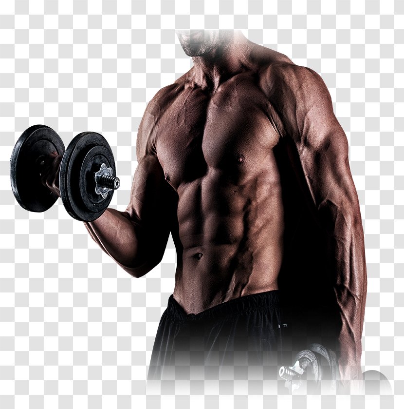 Physical Fitness Personal Trainer Bodybuilding Centre Exercise - Silhouette Transparent PNG