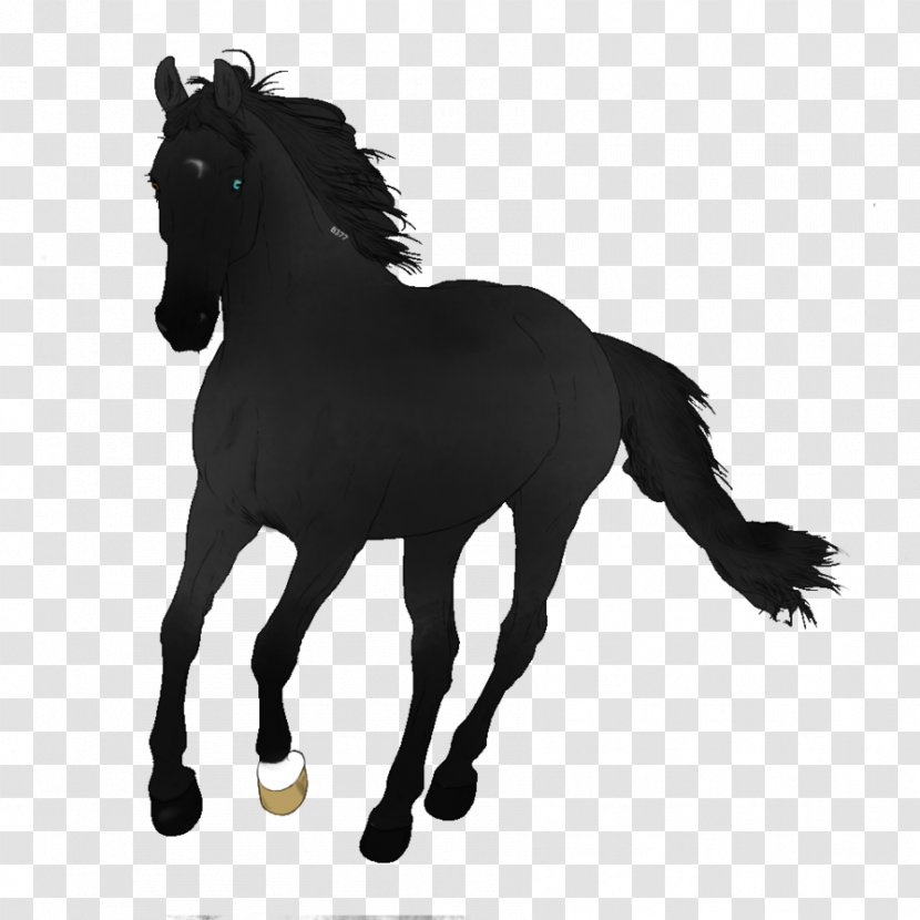 Mustang Stallion Colt Pony Mare - Black And White - Dark Horse Transparent PNG