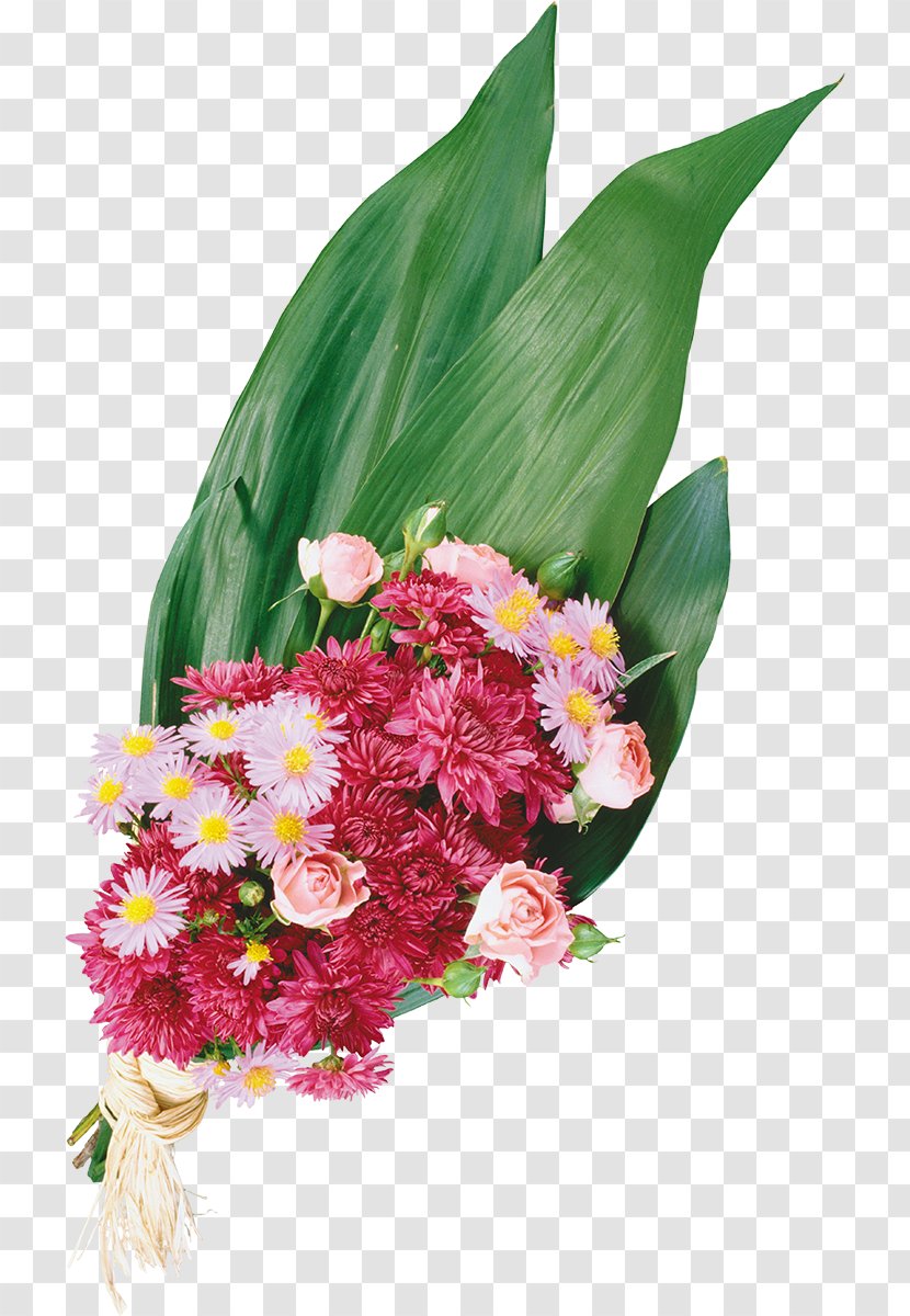 Cut Flowers Floristry Chrysanthemum - Flora Transparent PNG