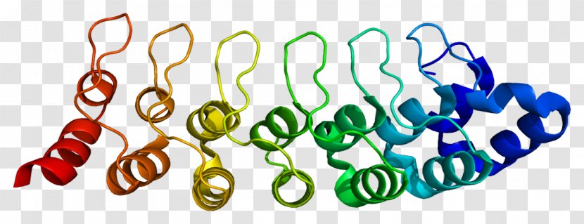 PSMD10 Protease Enzyme Proteolysis Proteasome - Adenosine - Body Jewelry Transparent PNG