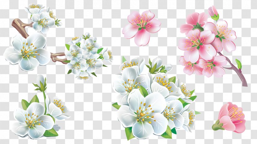 Cut Flowers - Spring - Watercolor Transparent PNG
