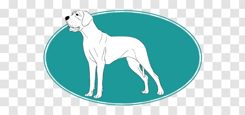 Italian Greyhound Whippet Sloughi Spanish Dog Breed - Fictional Character - Chien Berger Shetland Transparent PNG